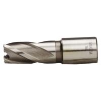 Makita HB16S | Kernboor HSS 16x30mm | Weldon - thumbnail