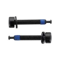 Elvedes flatmount bouten 1paar m5 × 33mm met uiteinde shimano - thumbnail