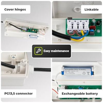 Salus LED Noodverlichting met accu wand-/plafondmontage 3 Watt 6500K IP65 Spatwaterdicht Incl. pictogram met vluchtwegaanduiding