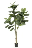 Kunstplant Ficus Lyrata - 180cm - thumbnail