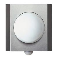 Albert Buitenlamp sensor RVSQuadrate Globe 27cm - 696127 - thumbnail