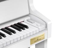 Casio Celviano Grand Hybrid GP-310 digitale piano wit - thumbnail