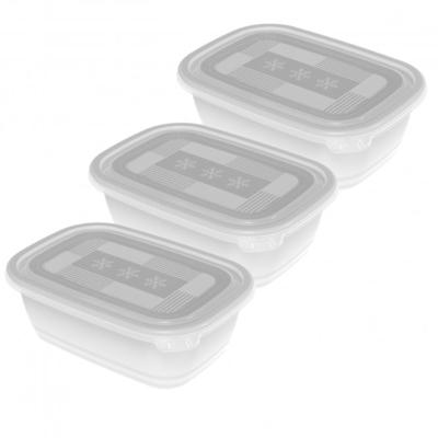 Rotho Freeze Diepvriesdozen 3x1L Transparant/Wit