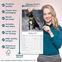 American Staffordshire Terrier Kalender 2026 - thumbnail