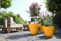 Elho Vibia Campana bloempot rond 25cm honinggeel - thumbnail