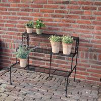 Plantenetagere trap - 3 traps - thumbnail