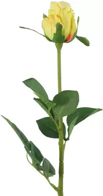 Decostar zijdebloem roos 70 cm geel Decostar zijdebloem roos 70 cm geel