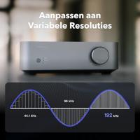 WiiM Vibelink Amp | 100W eindversterker met premium ESS 9039Q2M DAC en TI TPA3255 | Compatibel met WiiM Mini, Pro, Pro Plus en Ultra | RCA-, coaxiale en optische ingangen | Zilver - thumbnail