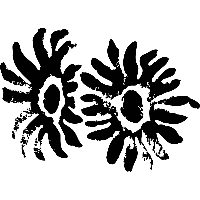 Zonnebloemen - Muursticker - thumbnail