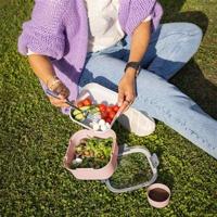 Sunware Sigma Home Lunchbox Roze - thumbnail