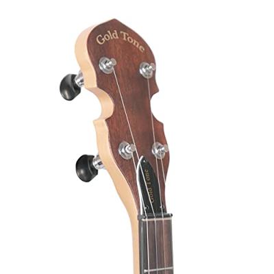 Gold Tone EB-5 elektrische banjo, met draagtas