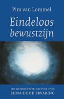 Eindeloos bewustzijn (Paperback) - thumbnail