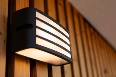 Zebra Muurlamp Antraciet