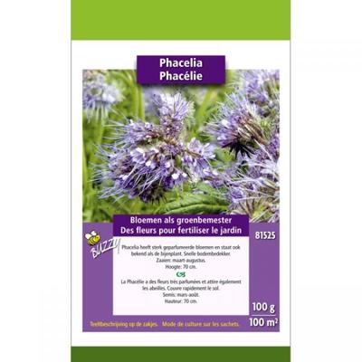 Zaden groenbemester phacelia tanacetifolia 100 gram Buzzy - Buzzy