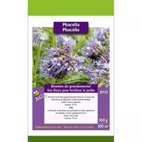 Zaden groenbemester phacelia tanacetifolia 100 gram Buzzy - Buzzy - thumbnail