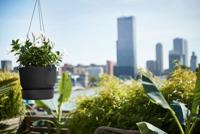 Elho Hangschaal Greenville Ø24cm - Black - thumbnail