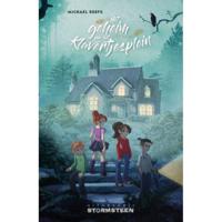 Het geheim van het Klavertjesplein - Michael Reefs - Hardcover (9789492604866) - thumbnail