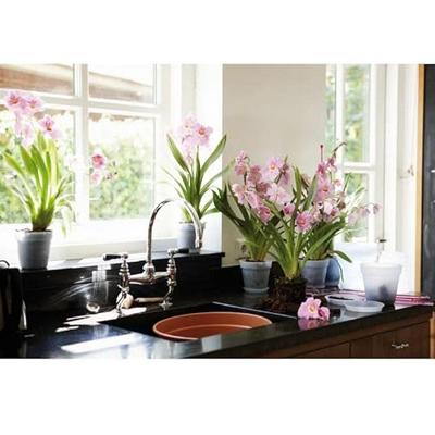 Green basics orchidee schotel 10cm transparant - Elho - thumbnail