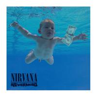 Nirvana Rock Saws Jigsaw Puzzle Nevermind (500 pieces) - thumbnail