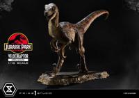 Jurassic Park Prime Collectibles Statue 1/10 Velociraptor Open Mouth 19 cm - thumbnail