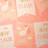 Huldeschild - Newborn baby girl - thumbnail