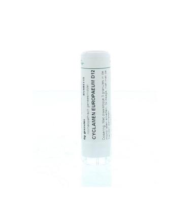 Homeoden Heel Cyclamen europaeum D12 6 Gram Homeoden Heel Cyclamen europaeum D12 6 Gram