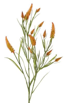 Smalbladklaver Trifolium angustifolium 4x vertakt met 13 bloemen & 70 blaadjes 80 cm kunstbloem Top Art - Top art