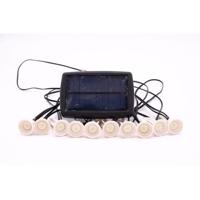 GALIX Garland 10 LED zonne-energie te planten - 5m - thumbnail