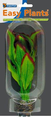 Easy plants middel 20cm nr. 9 zijde