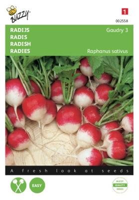 Zaden Radijs Gaudry 3 Ronde Rode Witpunt Buzzy - Buzzy