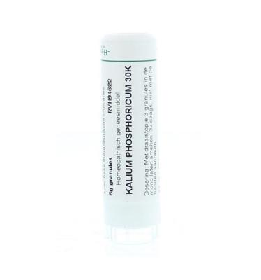 Homeoden Heel Kalium phosphoricum 30K 6 Gram Homeoden Heel Kalium phosphoricum 30K 6 Gram
