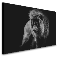 Schilderij - Machtige Leeuw, premium print, wanddecoratie, zeer stevig verpakt geleverd , Dieren - thumbnail