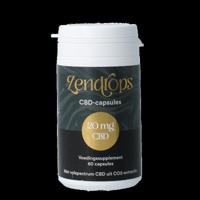 CBD capsules 20mg 60 Capsules - thumbnail