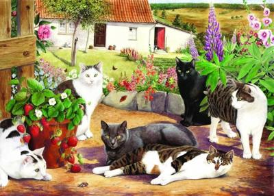 Cool Cats Puzzel 500 Stukjes XL Cool Cats Puzzel 500 Stukjes XL