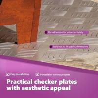 VidaXL Trap tread rechthoekig 2 pcs zilver 60 x 50 cm aluminium - thumbnail