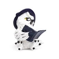 Wise Old Magical Owl lees spreukenboeken - thumbnail