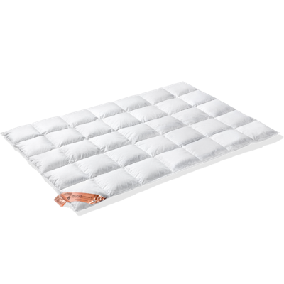 VanDyck Excellent Dekbed 450