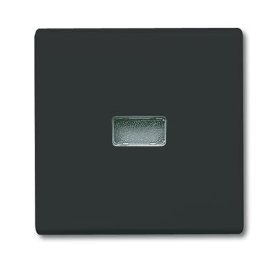 Busch-Jaeger 2CKA001731A1742 Knop Afdekking Allweather 44 (IP44) Antraciet, Zwart-grijs 1 stuk(s)