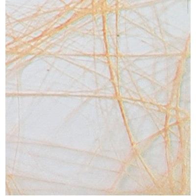 Vaessen Creative • sizoweb 60cmx25m abrikoos