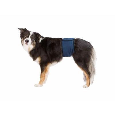 Bevestigingsband Trixie 45-55 cm Mannelijk Onderbuik