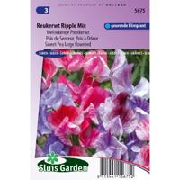 Lathyrus Odoratus zaden Ripple Formula Mix reukerwt - thumbnail