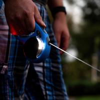Flexi lichtsysteem voor honden led usb zwart - thumbnail