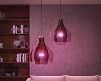 Philips Hue LED-lamp 871951429117100 Energielabel: F (A - G) Hue White & Col. Amb. E27 Einzelpack 800lm 75W E27 11 W Warmwit tot koudwit Energielabel: F (A - G) - thumbnail