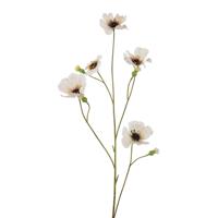 Roberts Collection Kunstbloem klaprozen wit 90cm - thumbnail