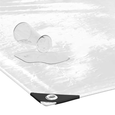 VidaXL Doorzichtig zeildoek met zeilringen 6x10 m pvc