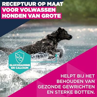Eukanuba Hondenvoer Droog met verse kip voor grote rassen, premium droogvoer voor volwassen honden, 3 kg