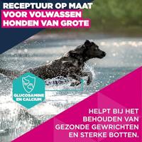 Eukanuba Hondenvoer Droog met verse kip voor grote rassen, premium droogvoer voor volwassen honden, 3 kg - thumbnail
