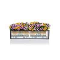 Jardiniere - Balconera kleur 80 - Complete set - Wit - 12 L - LECHUZA - thumbnail