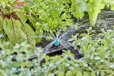 Sproeier voor kleine oppervlakken - Gardena