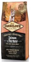 CARNILOVE SALMON / TURKEY PUPPIES LARGE BREED - thumbnail